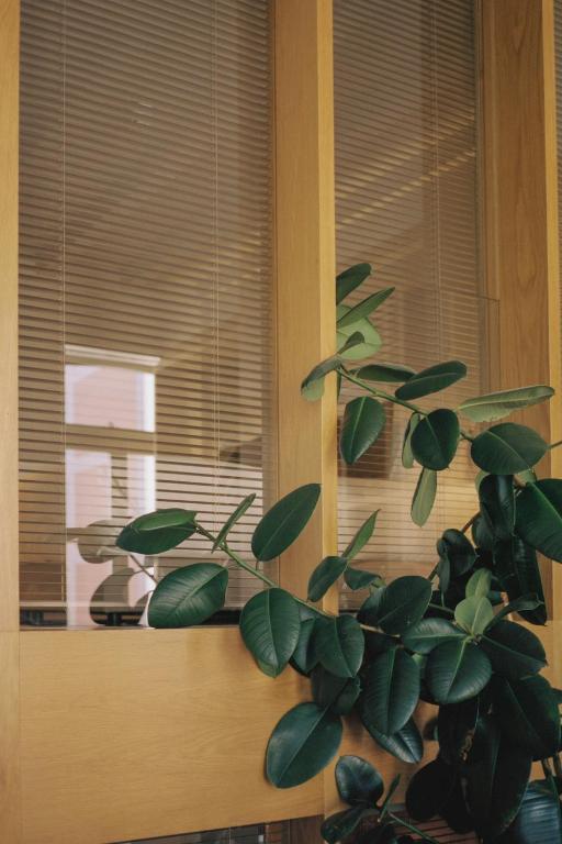 Vandoma Serviced Apartments - 10