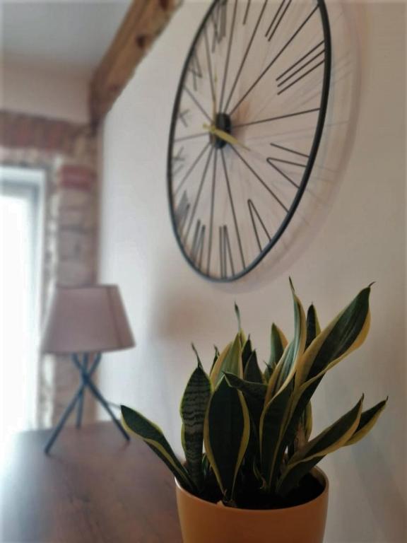 Biały Kruk Apartamenty vis-a-vis Jasnej Góry - 17