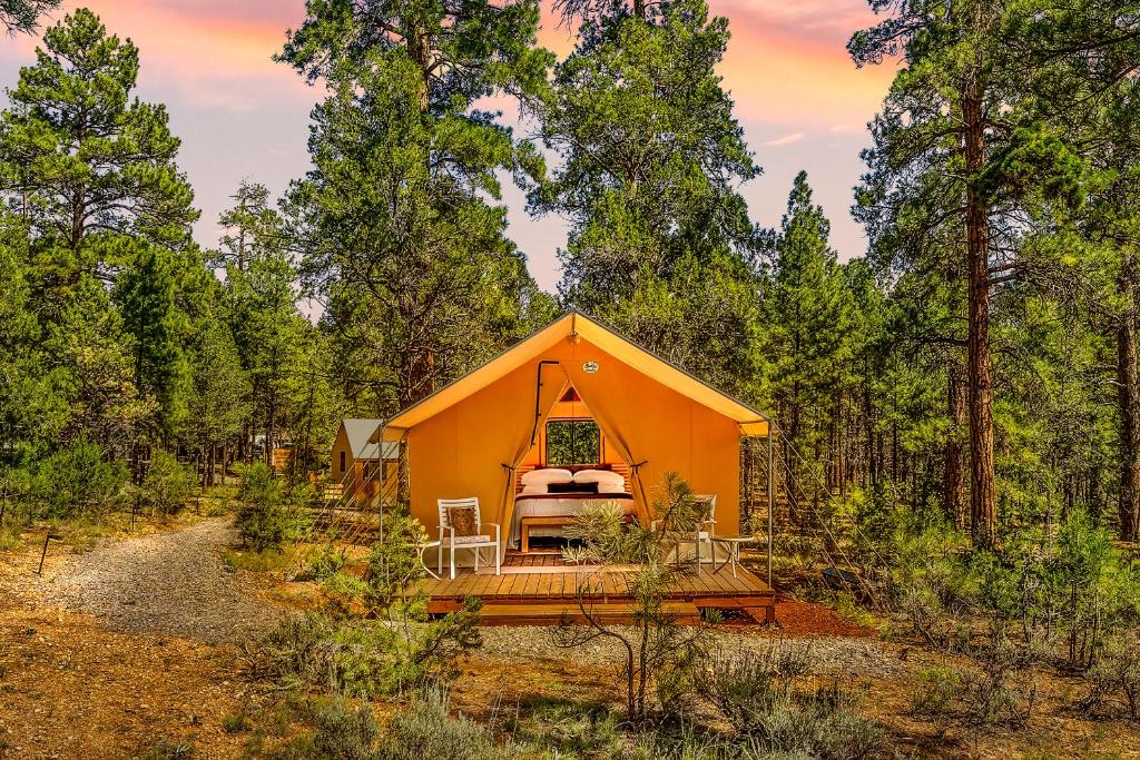 a small yellow tent in the middle of a forest at Highland Grand Canyon Glamping in Grand Canyon Village