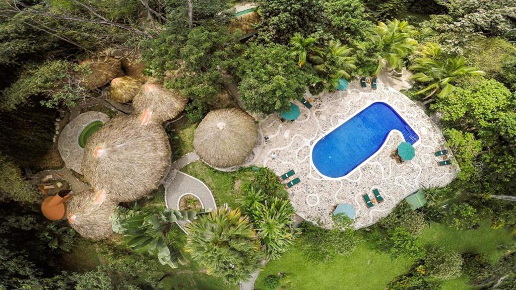 Bassein majutusasutuses The Lodge & Spa at Pico Bonito või selle lähedal