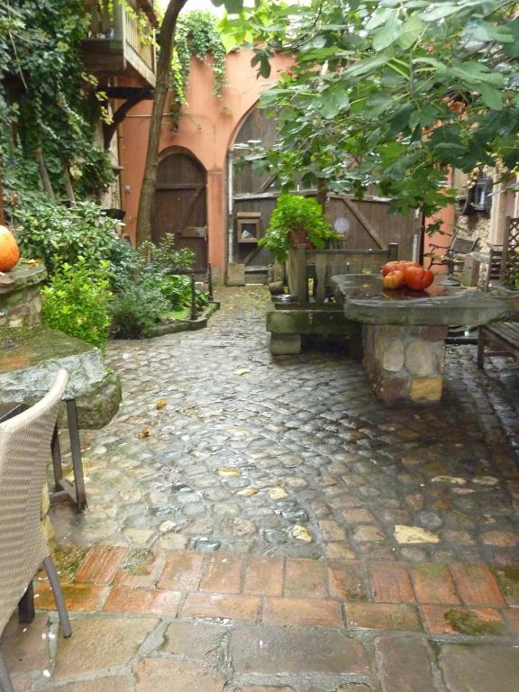 Chez Norbert gîte Le Riesling – photo 13