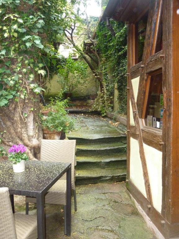 Chez Norbert gîte Le Riesling – photo 14