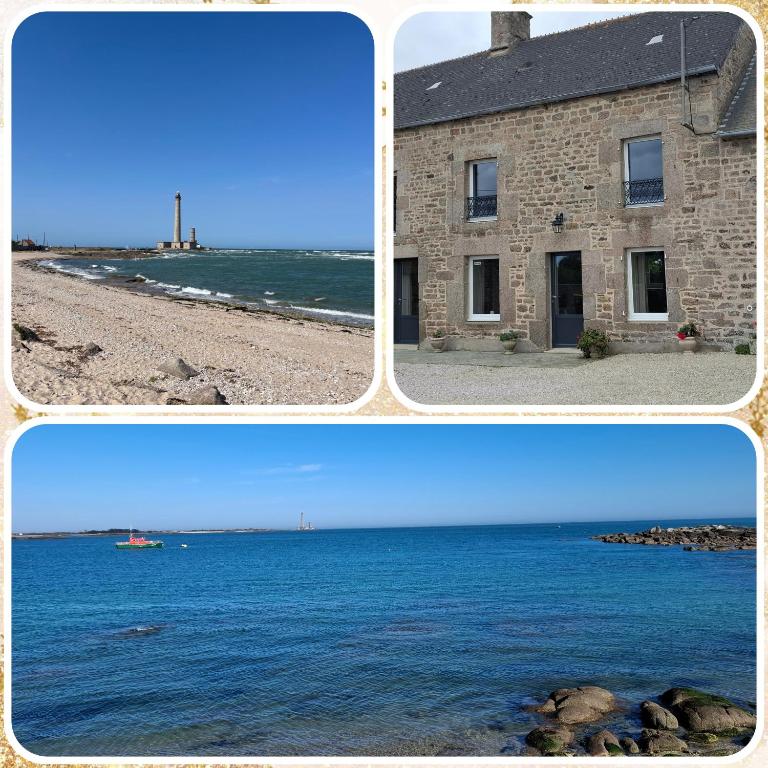 Les Campanules
