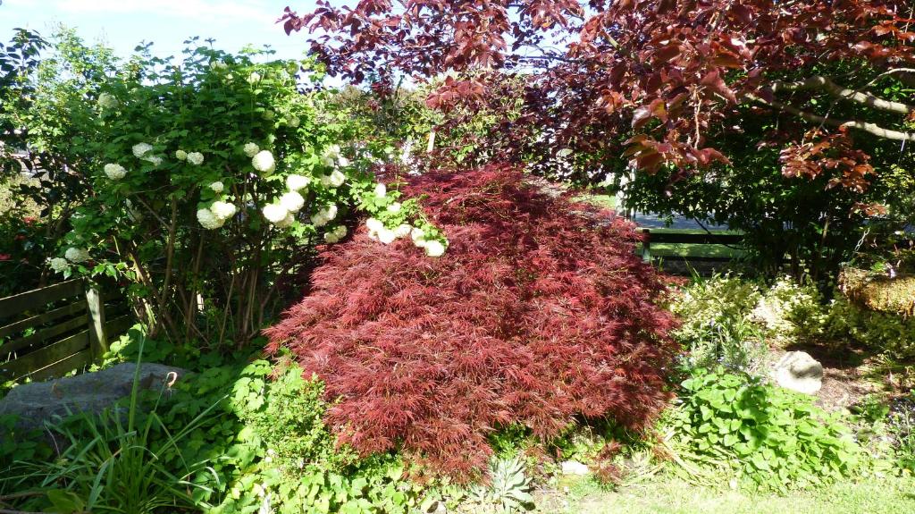 Ashcroft Gardens Bed & Breakfast - Resim 38