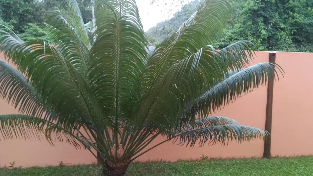  Refugio Massaguaçu