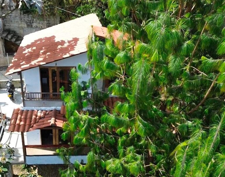 a house is obscured by a tree at Aitana Mágica in Copacabana