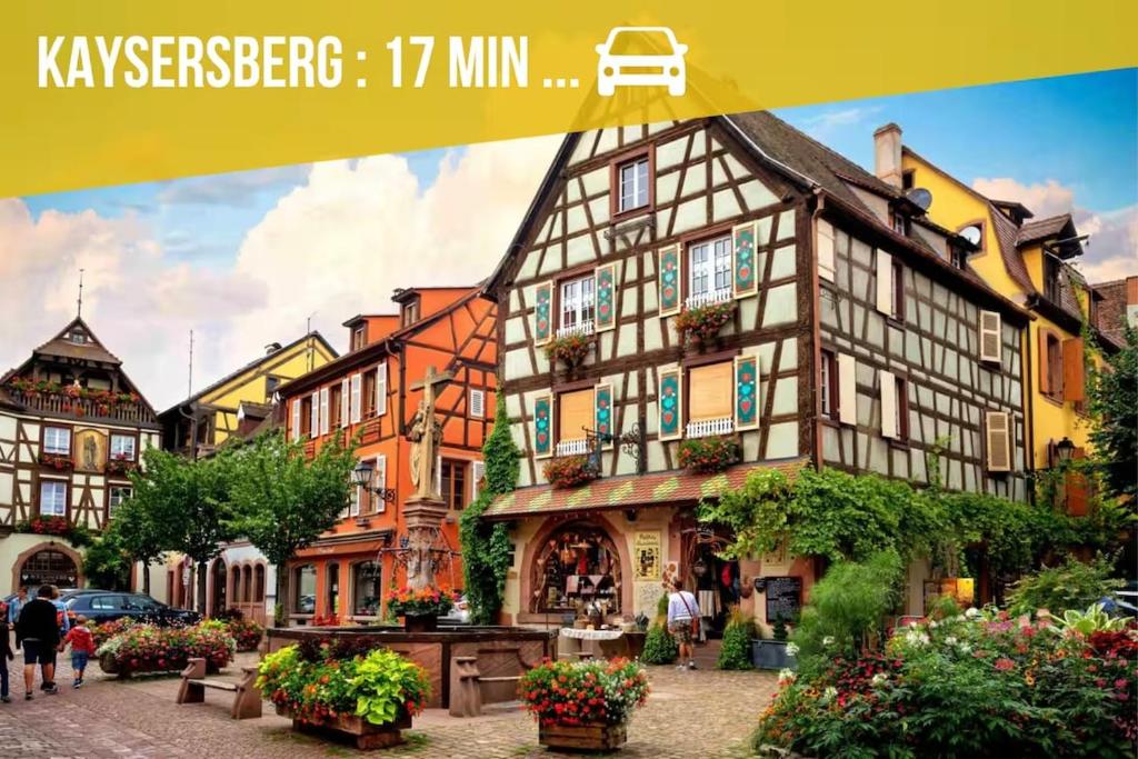Duplex de Charme - Turckheim - Route des Vins – photo 24