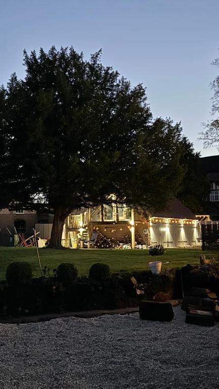 a house with a tree and lights in the yard at The TreeHouse Hideaway in Shrewsbury