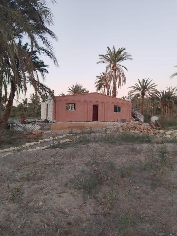 a pink house with palm trees in front of it at Villa Rumi Siwa in Damshīt