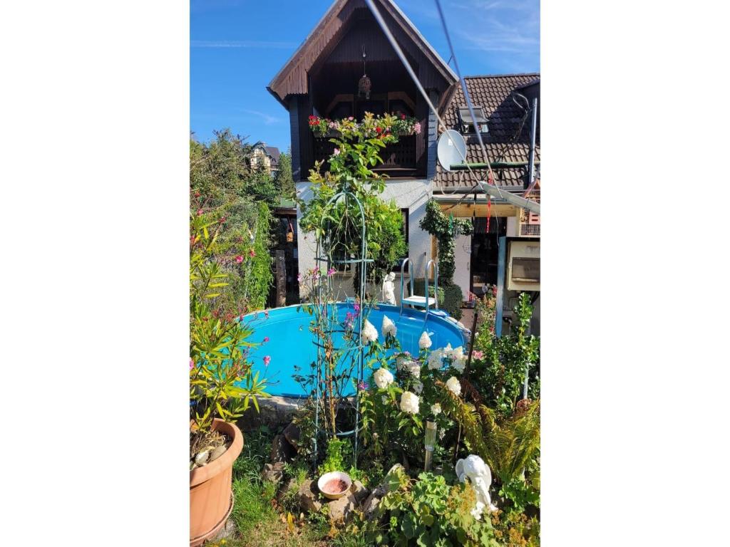 a garden with a swimming pool in front of a house at Gemütliches Ferienhaus mit Pool in Blankenburg in Blankenburg