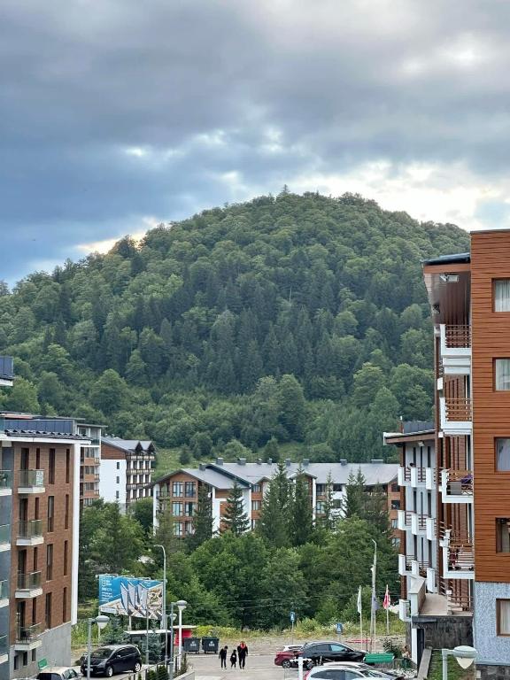a mountain in the background of a city with buildings at Frostwood Residence Orbi in Bakuriani