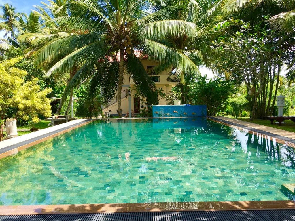 a large swimming pool with a palm tree in the background at Shangri-lanka Villa in Bentota