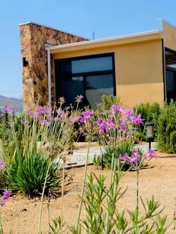 a garden with purple flowers in front of a building at Flor de Garambullo, Valle de Guadalupe in Valle de Guadalupe