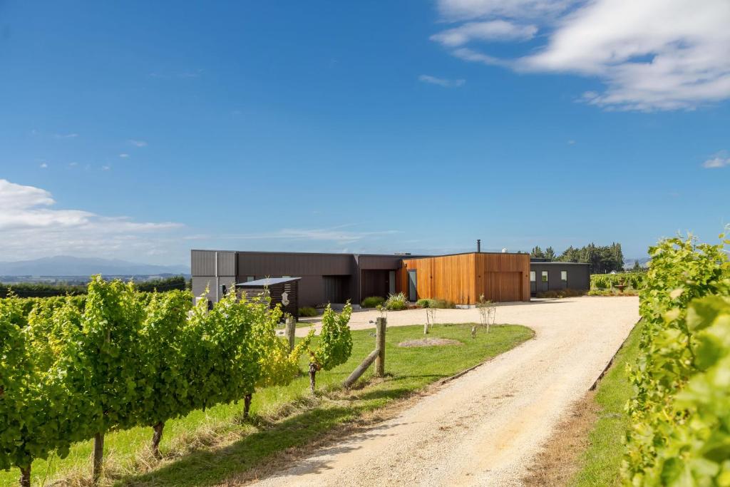 a dirt road through a vineyard with buildings at 89 In The Vines in Martinborough