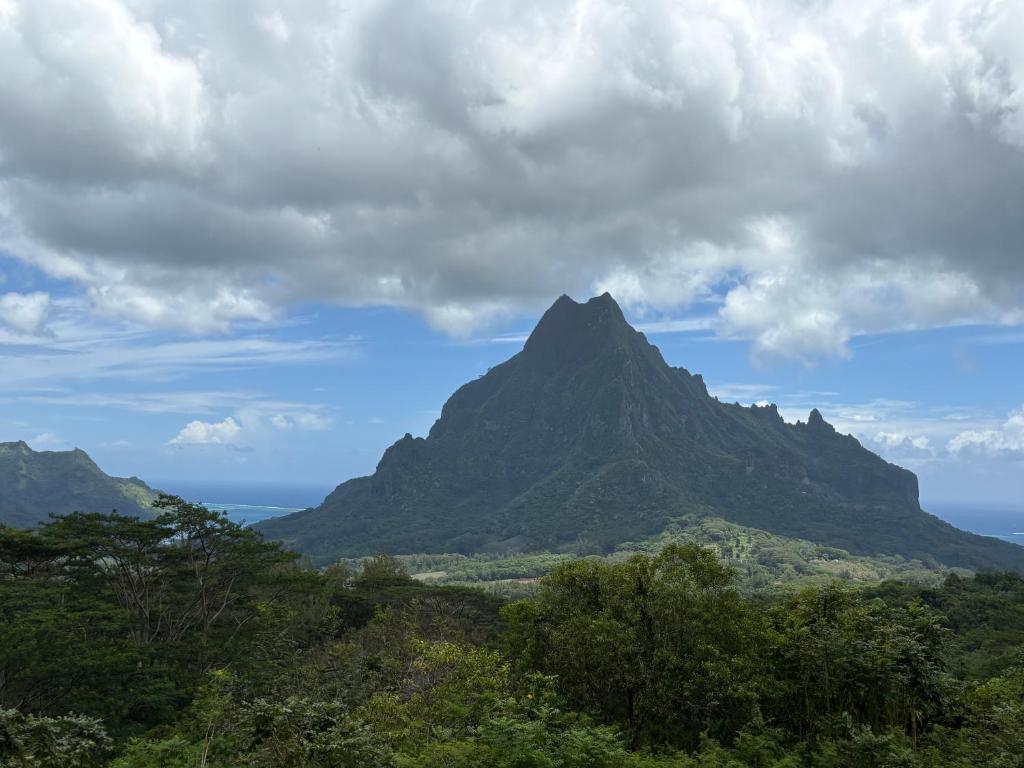 Zen escape-ocean view Papeete - photo 11 - Tahiti, Polynésie