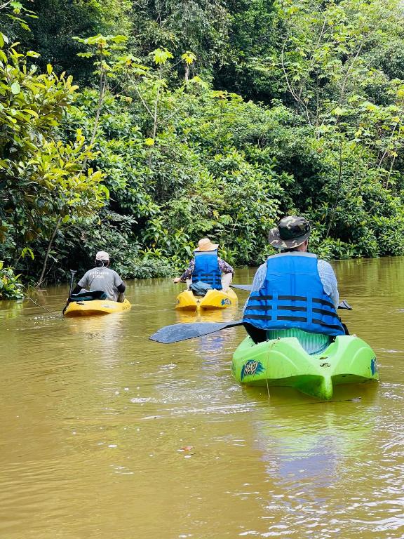 Cabañas eco lógicas mu'ü
