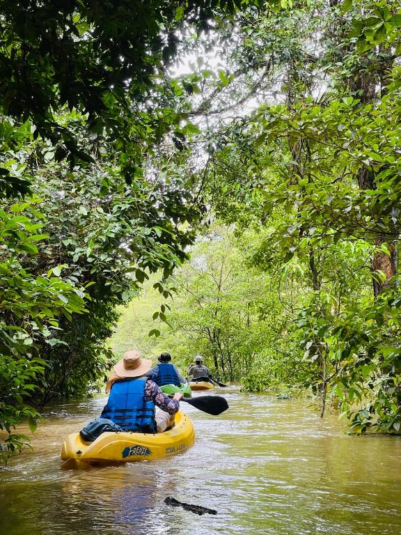 Cabañas eco lógicas mu'ü