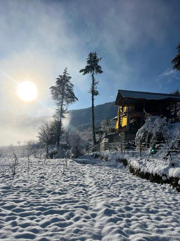 ein schneebedecktes Feld mit Bäumen und einem Gebäude in der Unterkunft DADU'S Cafe in Sainj