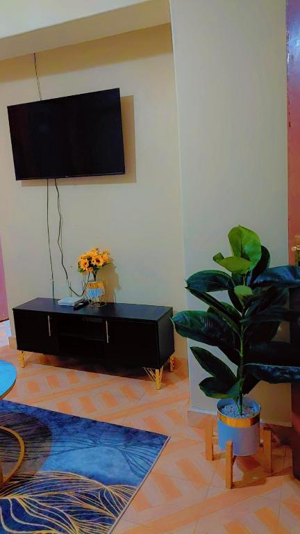 a living room with a tv and a potted plant at LJ Homes in Kisii