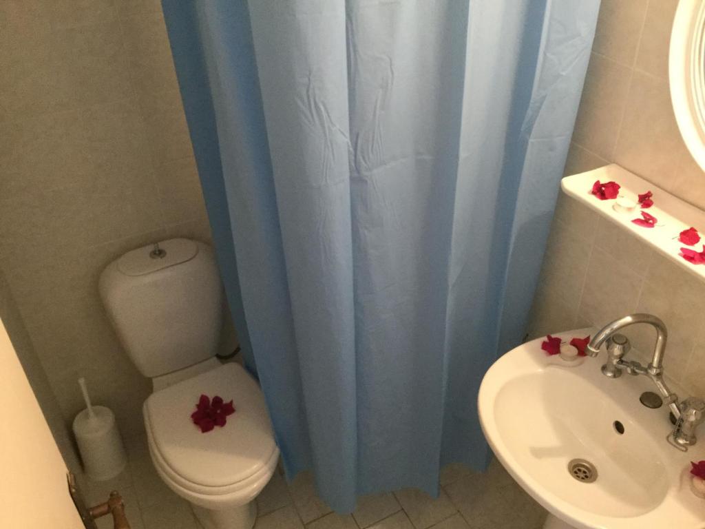 a bathroom with a toilet and a sink at Sea Sound in Vasiliki