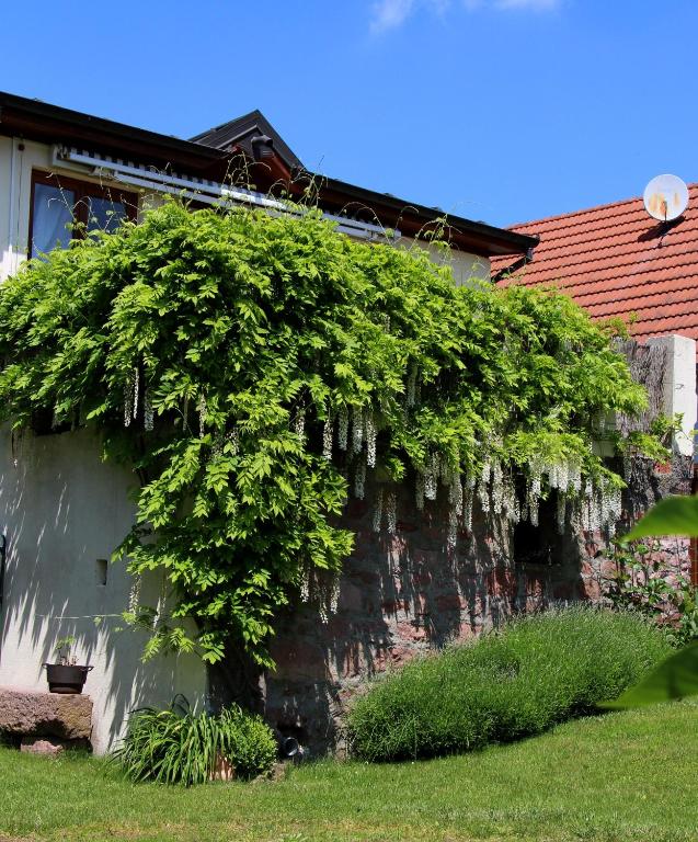 Les 3 Ceps - One Bedroom Cottage