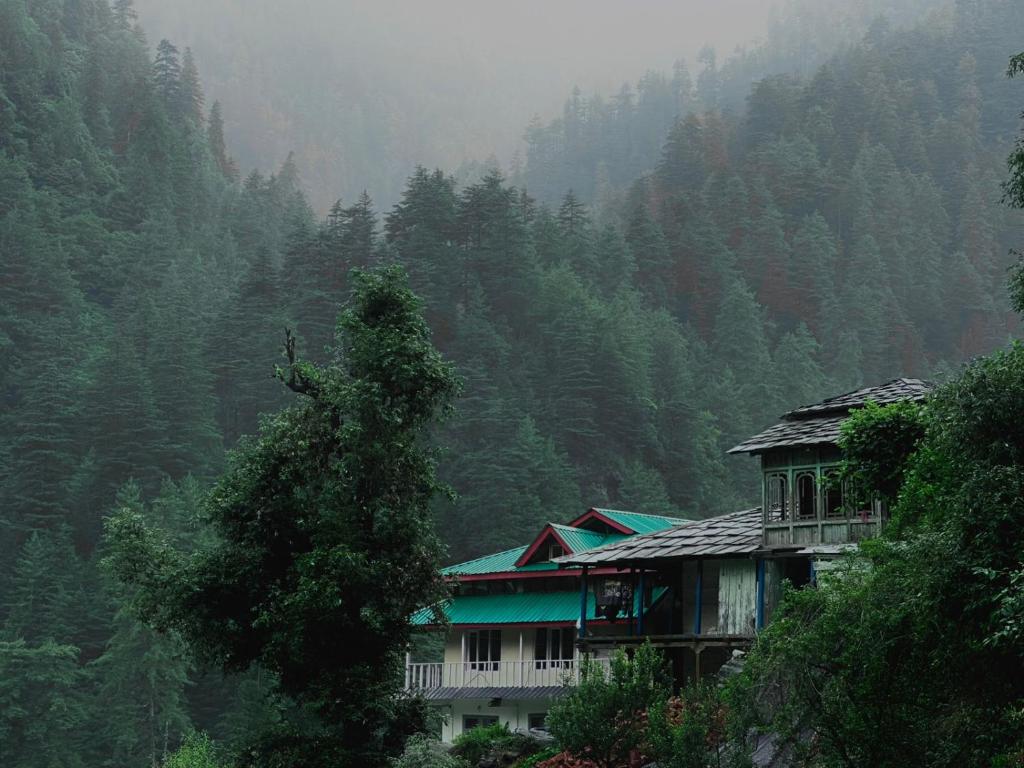 a house on the side of a mountain with trees at havana stays in Jibhi
