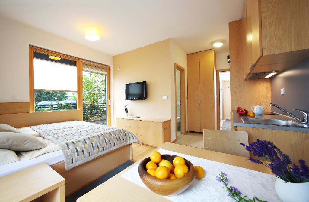 TV a/nebo společenská místnost v ubytování Apartments and Rooms Bernik