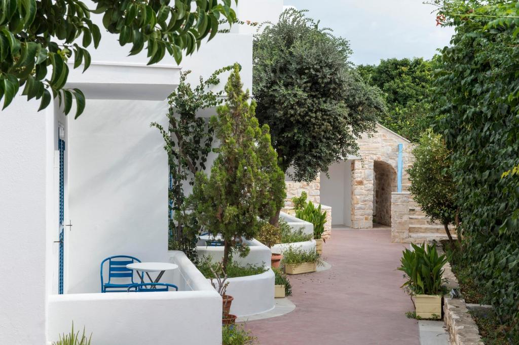Jardí fora de Hotel Aegeon