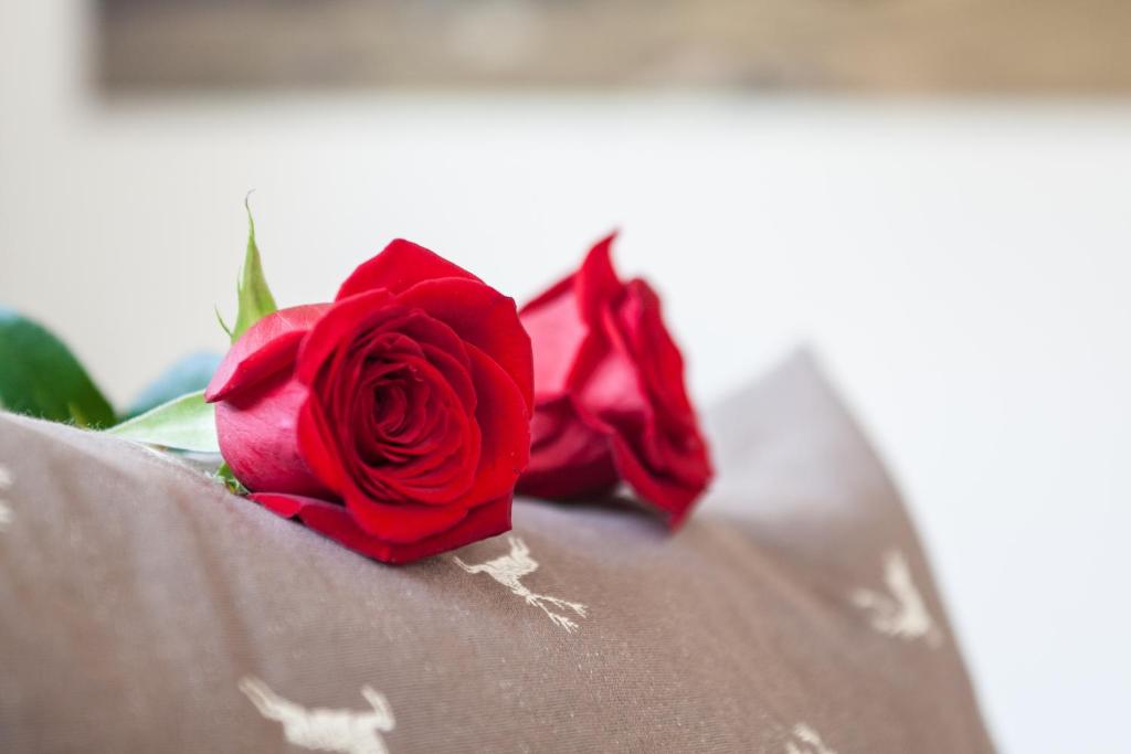 two red roses sitting on top of a table at Appartement Hotel Erlhof Deluxe in Lutago