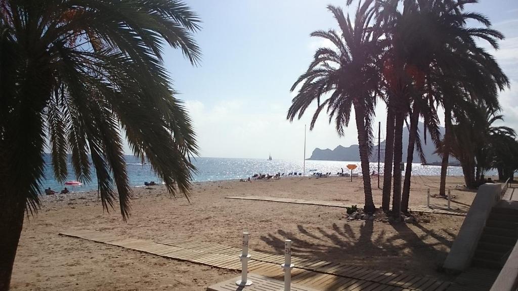 a sandy beach with palm trees and the ocean at Apartamentos La Mar in Altea