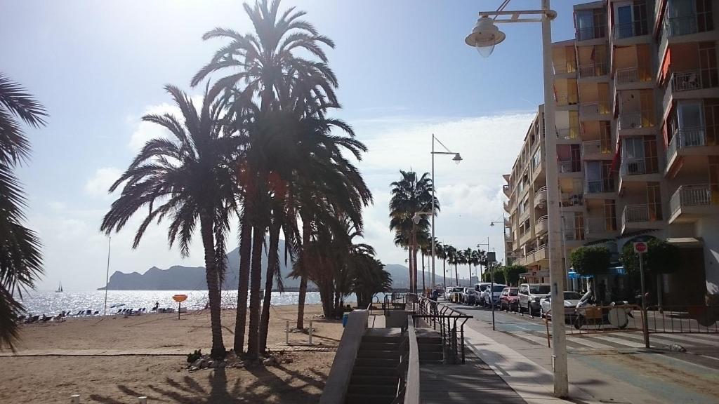 a street with palm trees on a beach with a building at Apartamentos La Mar in Altea