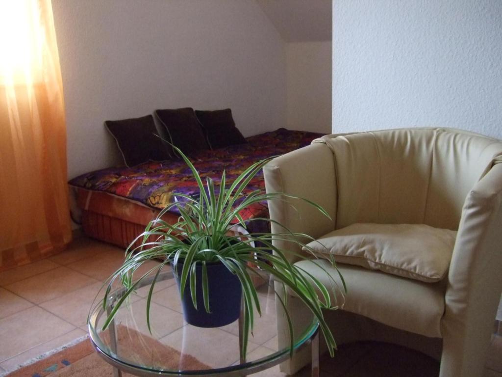 a living room with a couch and a glass table with a plant at A2-Vermietung in Peine