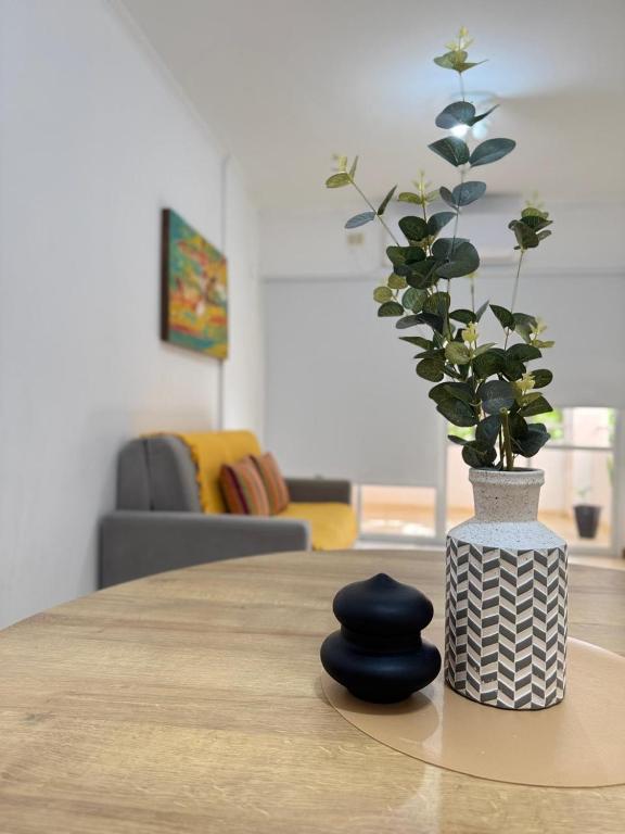 a table with a vase with a potted plant on it at Tu hogar en Resistencia, con cochera in Resistencia