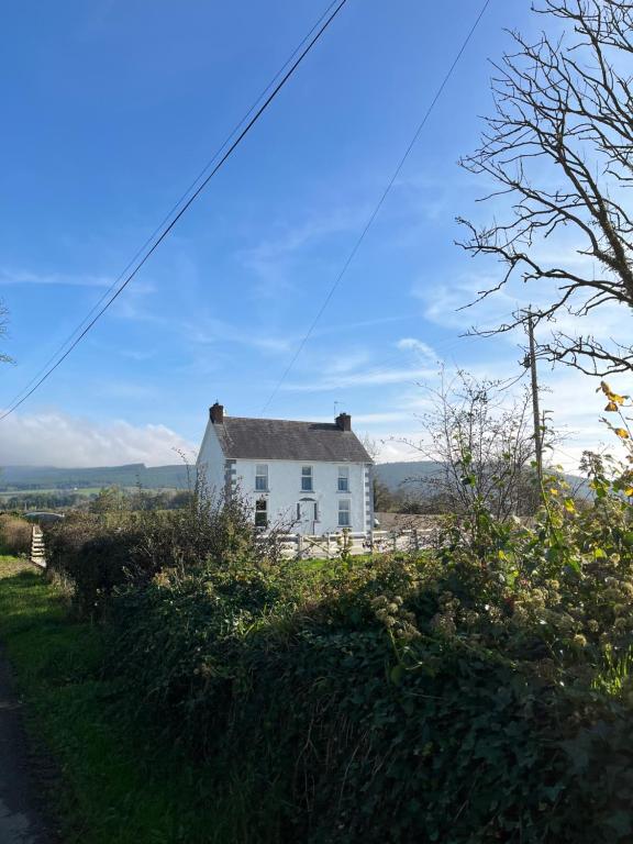 a white house on the side of a hill at Castleroddy House - spacious country house - king beds - extensive parking in Lislap