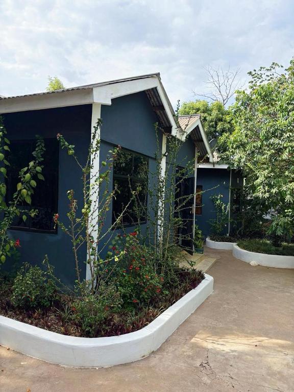a blue building with plants in front of it at Esther Villas Home in Boma la Ngombe