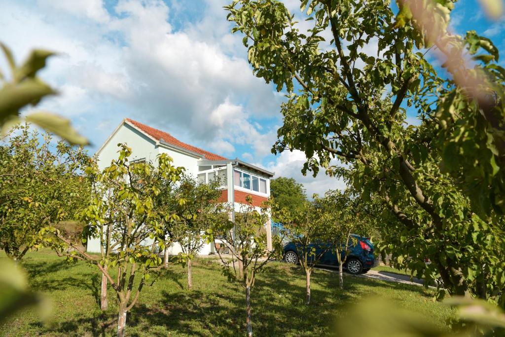 a house with a car parked in front of it at Apartman Šarabaća in Bajagić