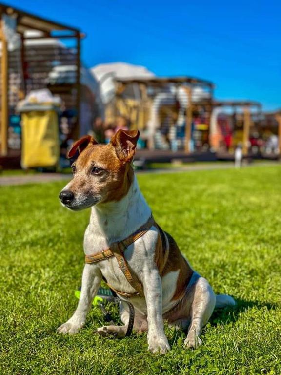 Holiday Park Zator - 18