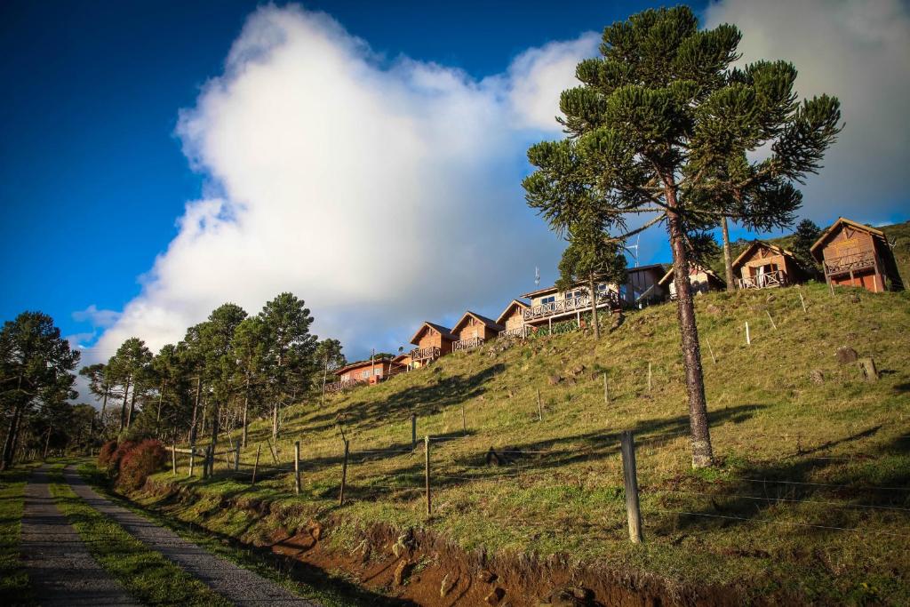 a tree on the side of a hill with houses at Pousada Fogo Eterno in Urubici
