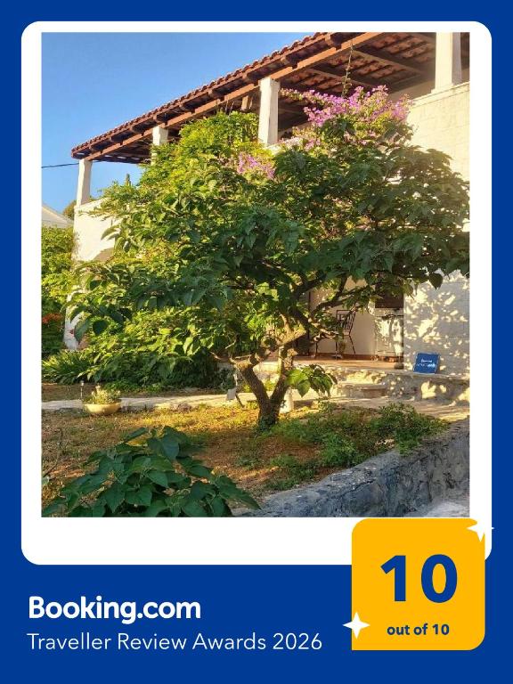 a tree with pink flowers in front of a building at Villa Lorena in Sutivan