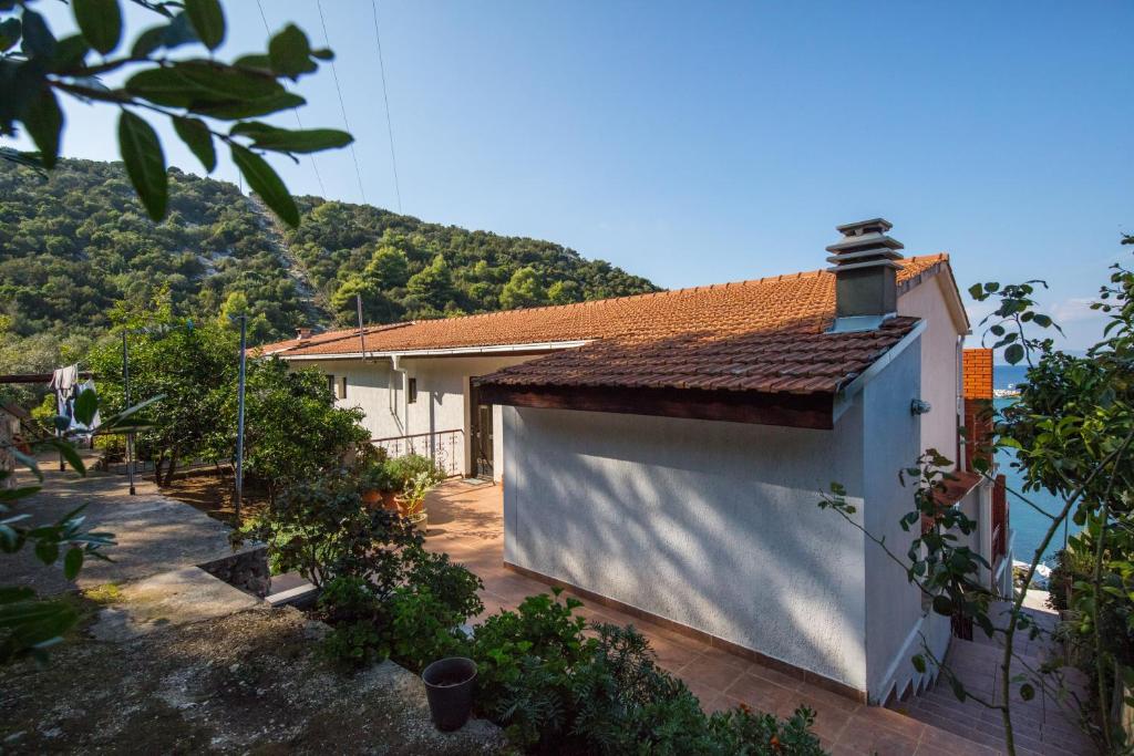 Příroda nedaleko apartmánu