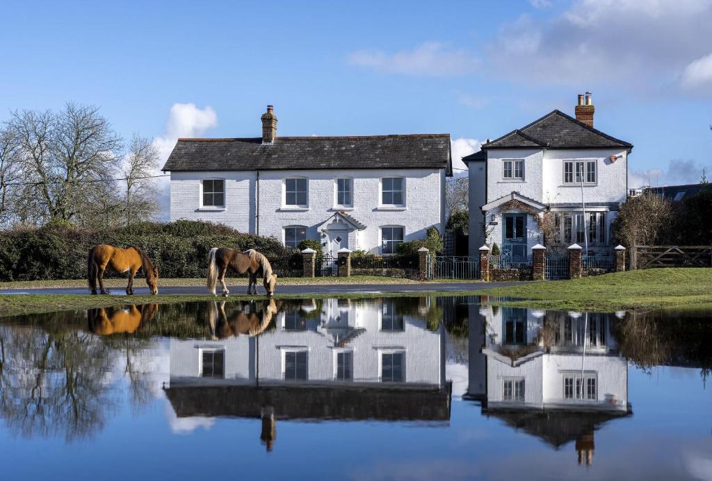 two horses grazing in front of a house and a lake at Hatchet Pond Cottage in Beaulieu