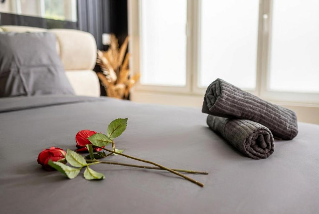 a table with a rose and a piece of yarn at Escapade à deux à 10mn de Paris in Gentilly