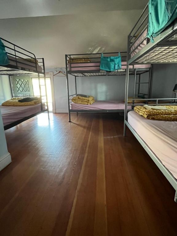 Santa Cruz Hostel - Cama En Habitación Compartida Femenina De 6 Camas