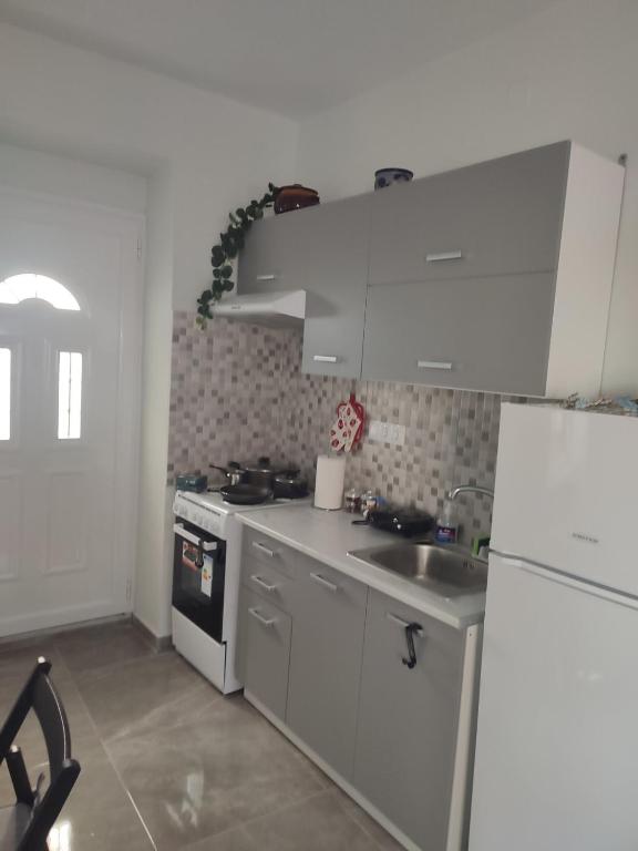 a kitchen with a sink and a white refrigerator at Το σπιτι στη Ρουγα in Glossa