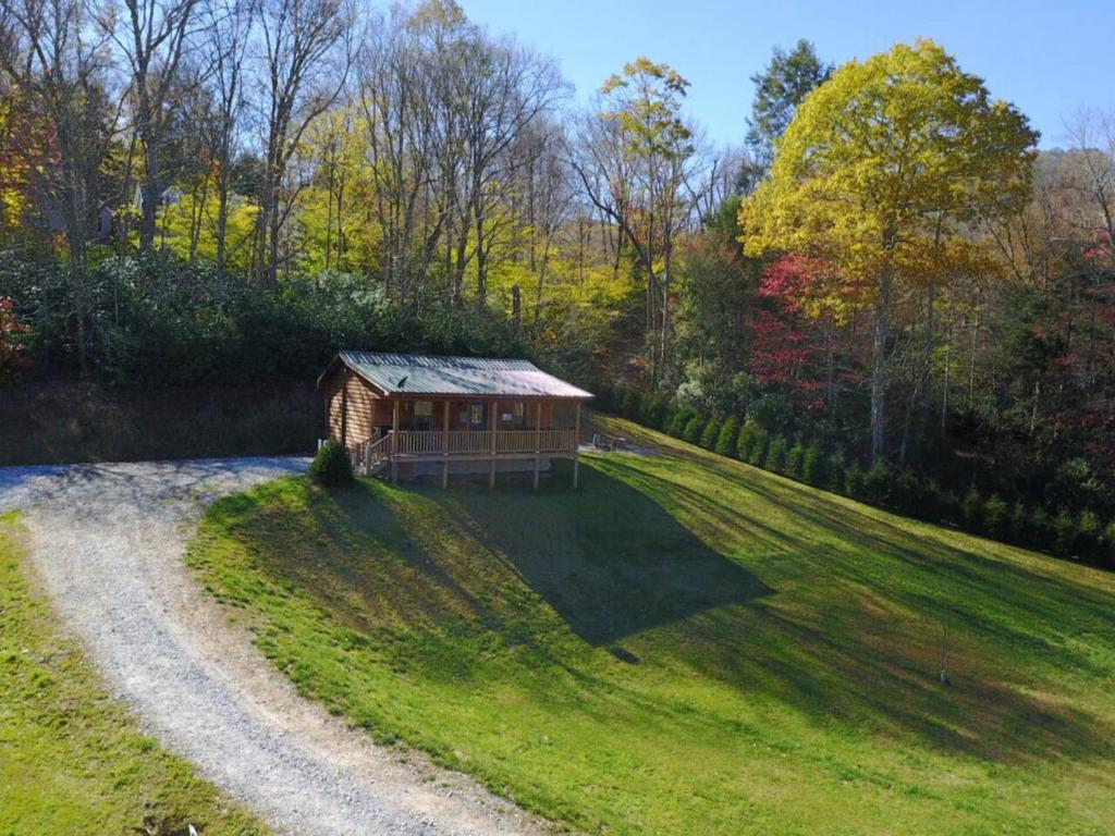 a small cabin on a grassy hill next to a dirt road at Little Bear Cabin in Banner Elk