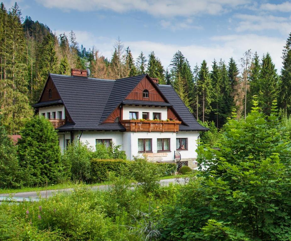 a house with a black roof in the woods at Willa Wisełka in Wisła