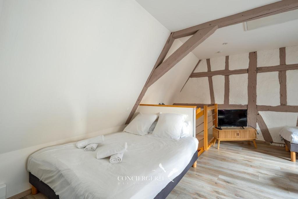 Maison historique au coeur du marché de Noël – photo 9