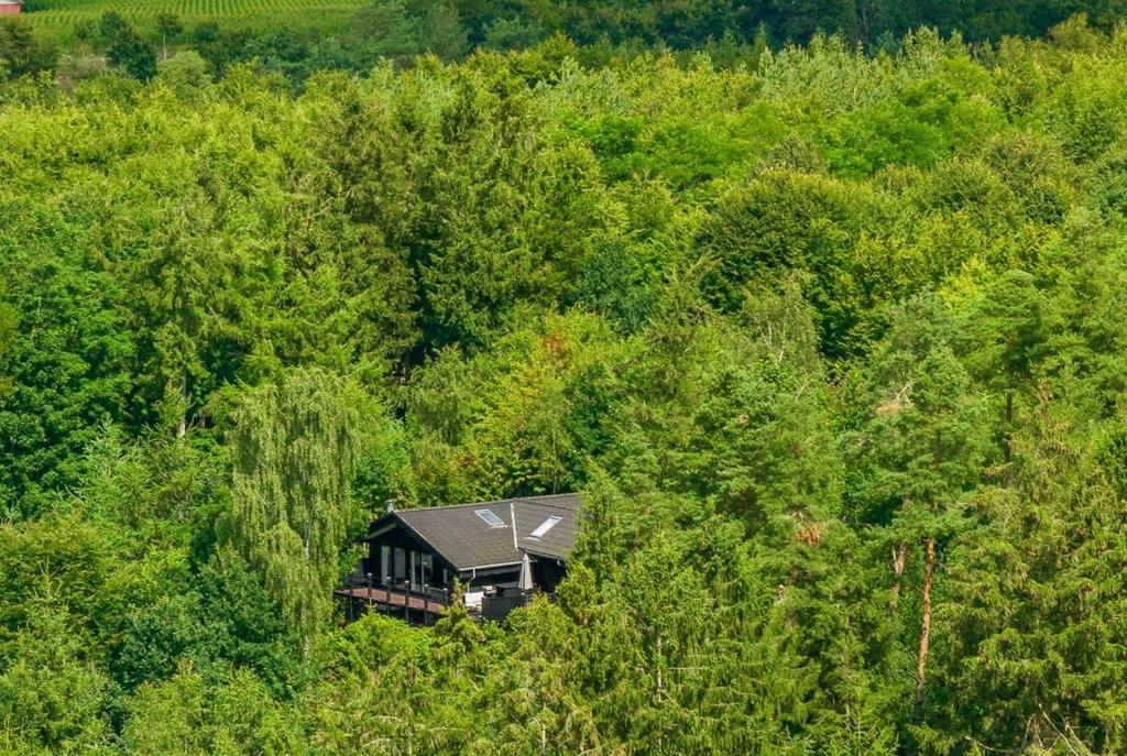 a small house in the middle of a forest at Forest Cabin Overlooking Bryrup Langsø in Silkeborg