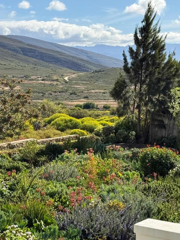 a garden with flowers and trees in a field at McGregor Hideaways in McGregor