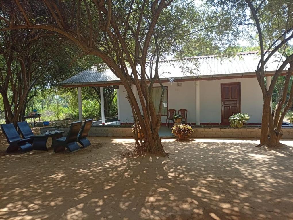 a house with trees and chairs in a yard at Zendora Resort Yala in Tissamaharama